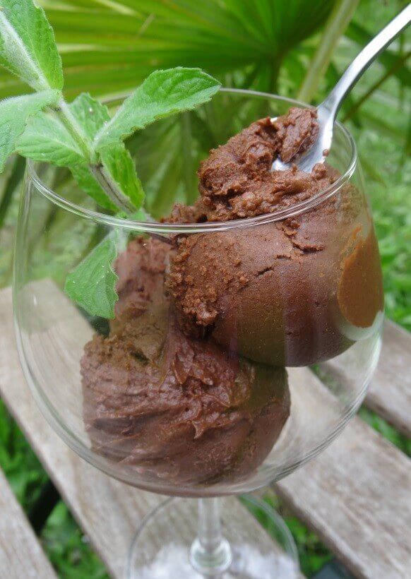 Glace paléo au chocolat surprenante