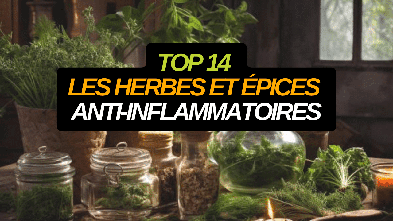 Herbes et épices anti-inflammatoires