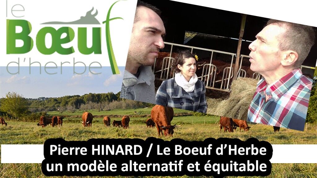 Le boeuf herbe