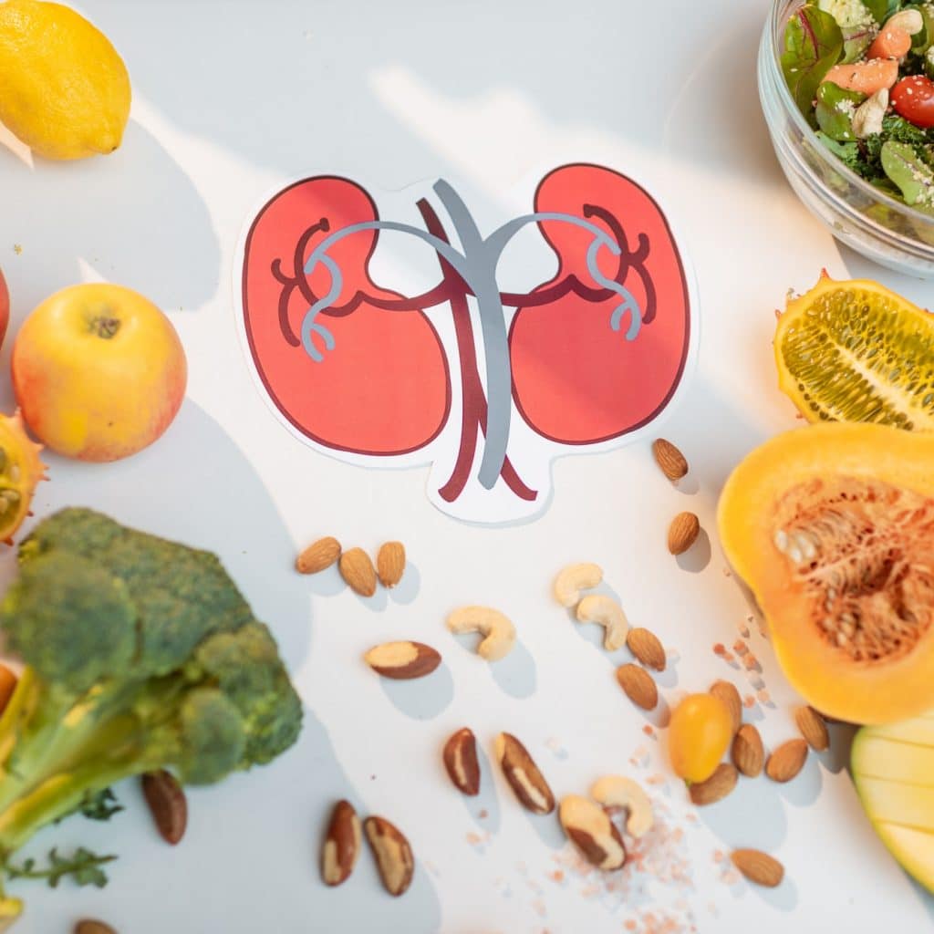 Quels sont les aliments mauvais pour les reins